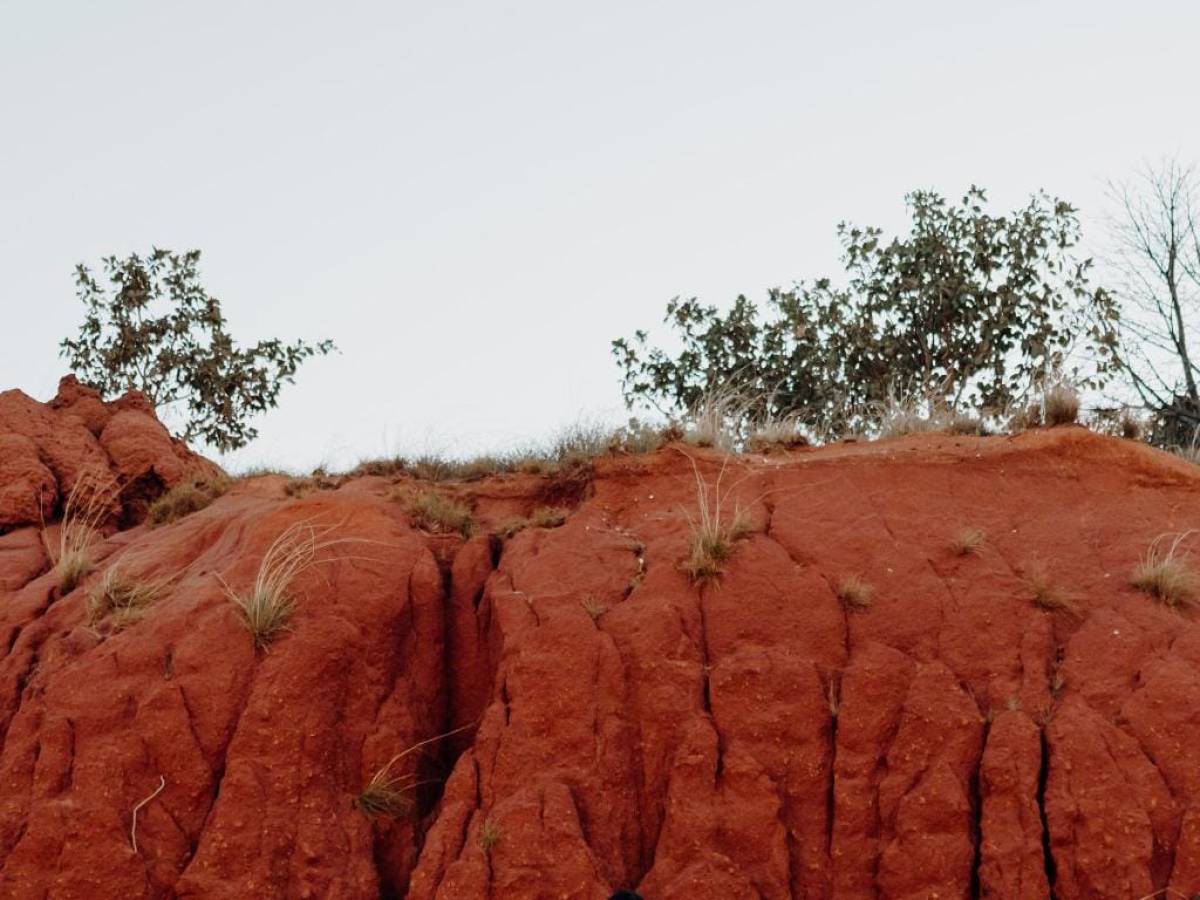Bride and groom kissing in front of red rock cliff, holding a bouquet.