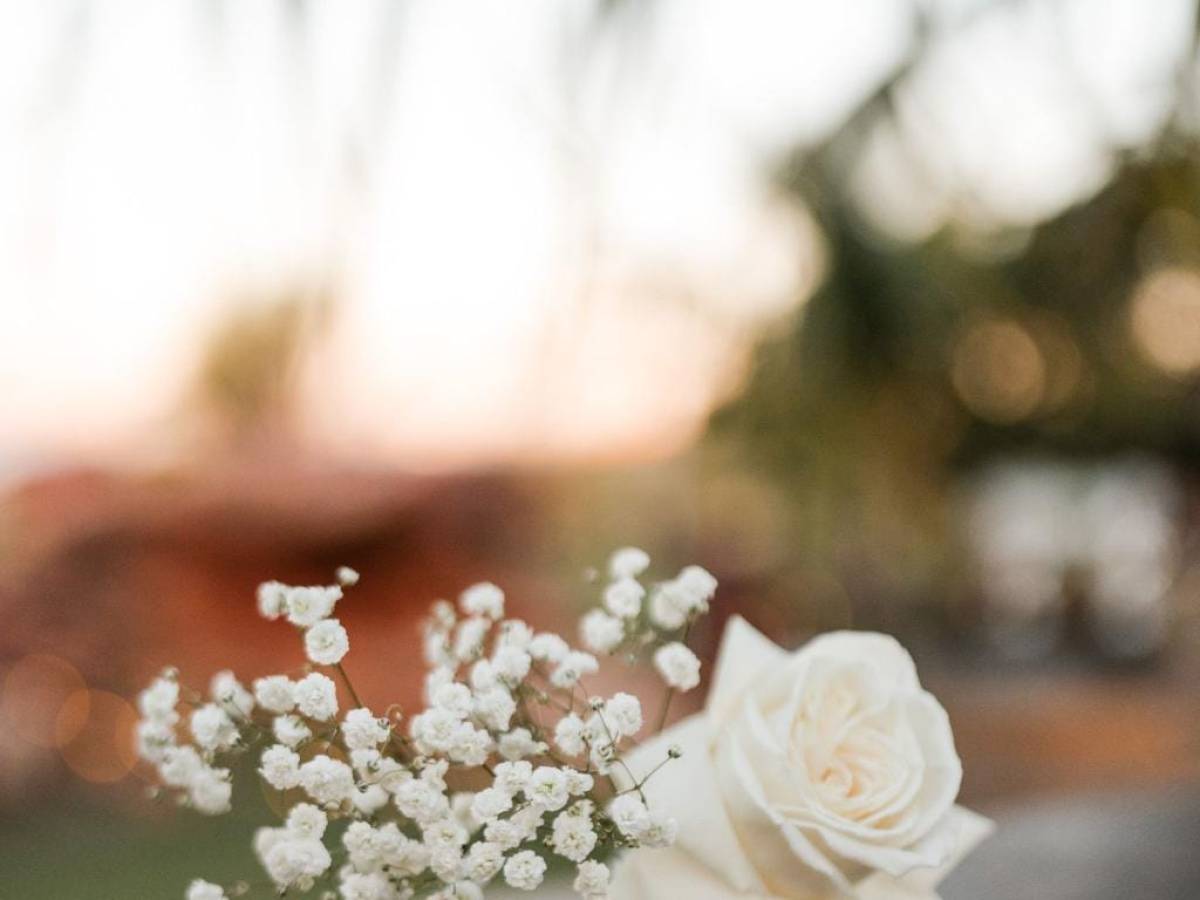 White rose and baby's breath in a small white vase on a wooden table.