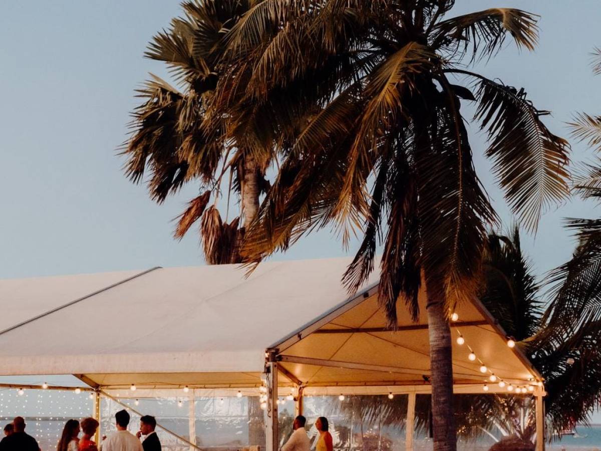 Outdoor event under canopy with people, palm tree, and string lights at dusk.