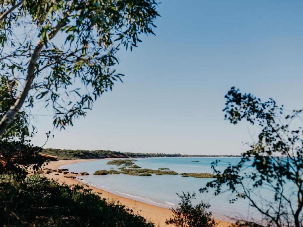 Scenic beach view with blue water, trees framing the foreground, and a clear sky.