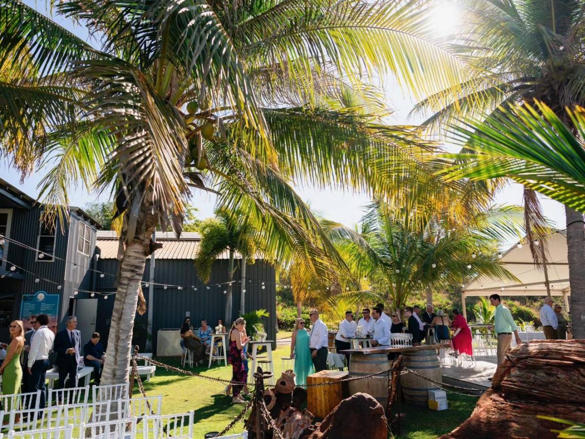 Outdoor event with people under palm trees, sunny day, string lights, and a rustic building.