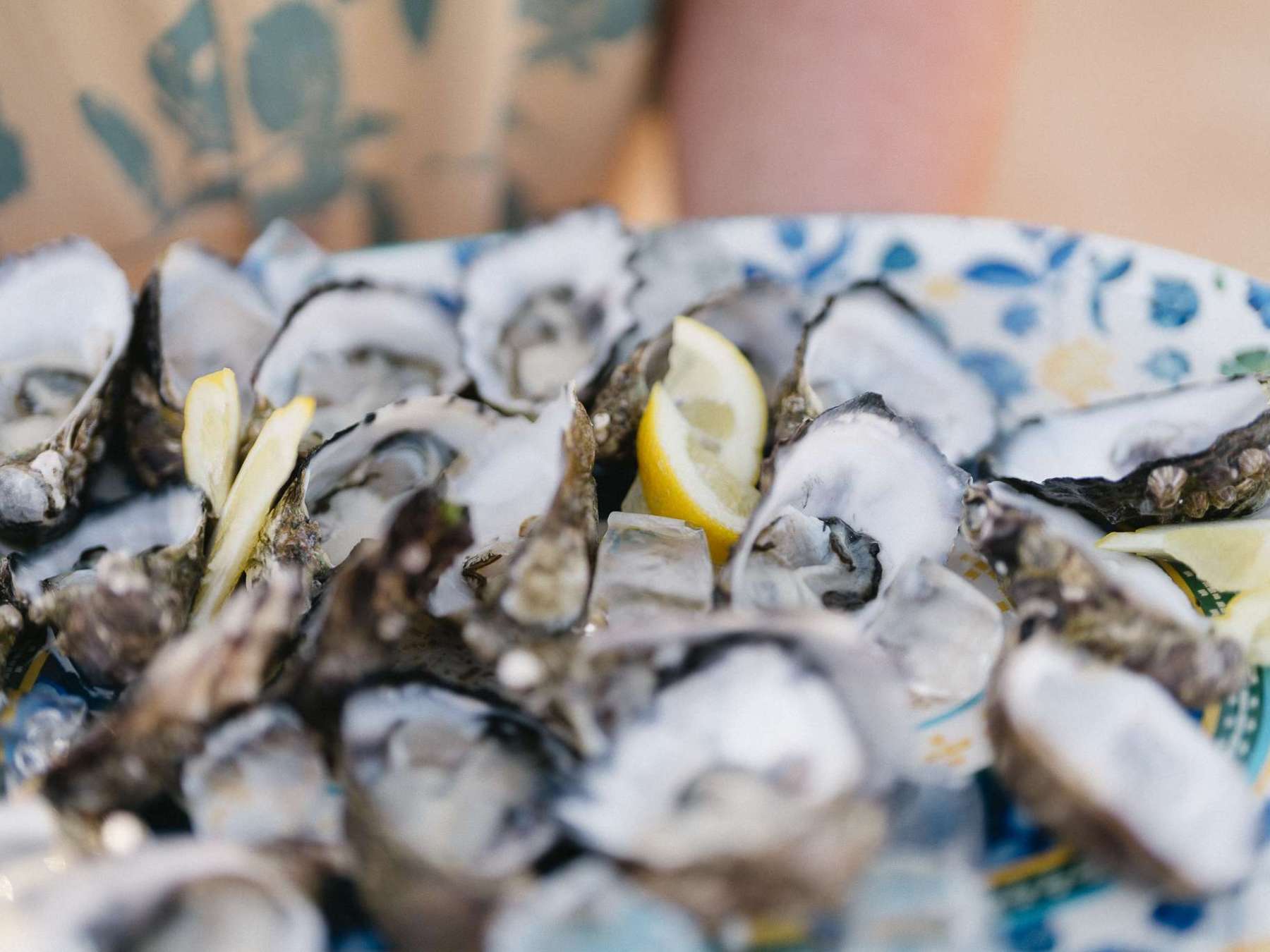 Plate of opened oysters on the half shell with lemon wedges on a patterned plate.