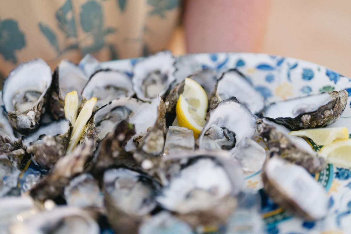 Plate of opened oysters on the half shell with lemon wedges on a patterned plate.