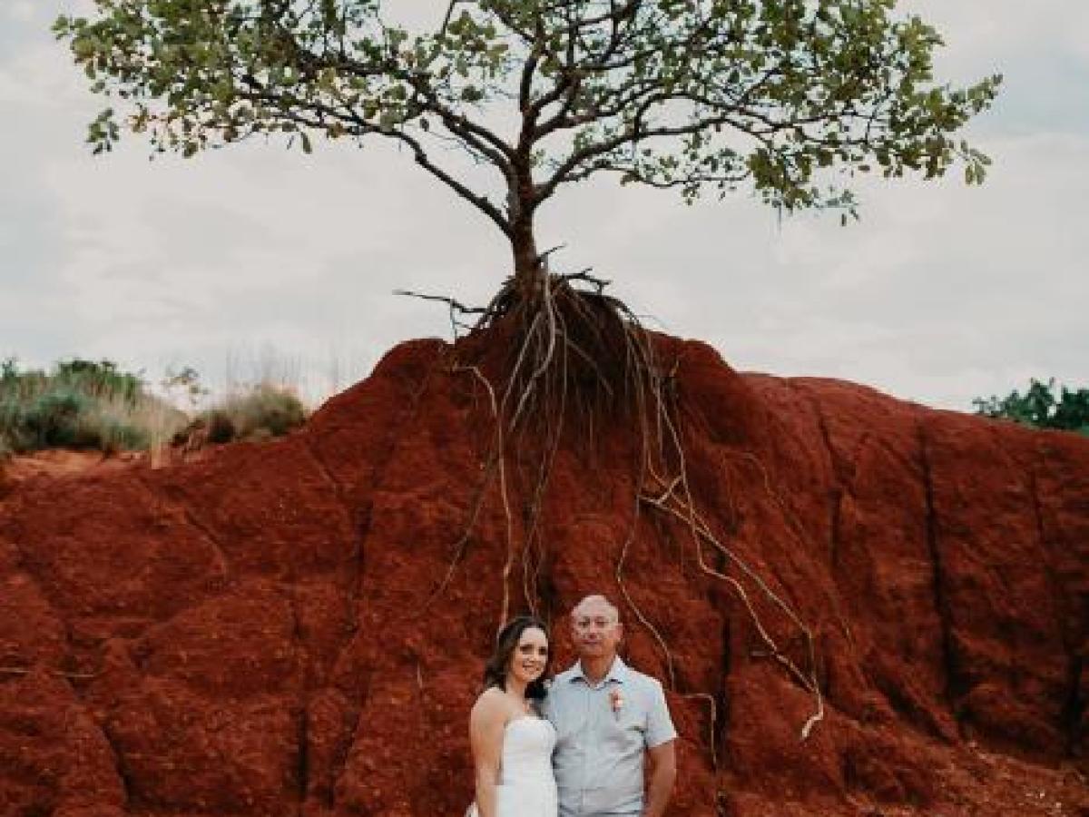 Couple in wedding attire stands on red earth with tree and roots above them.