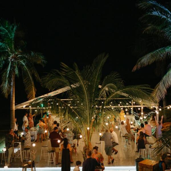 Outdoor nighttime gathering with people under string lights and palm trees.