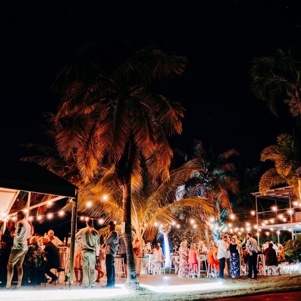Outdoor evening event with people under string lights and palm trees.
