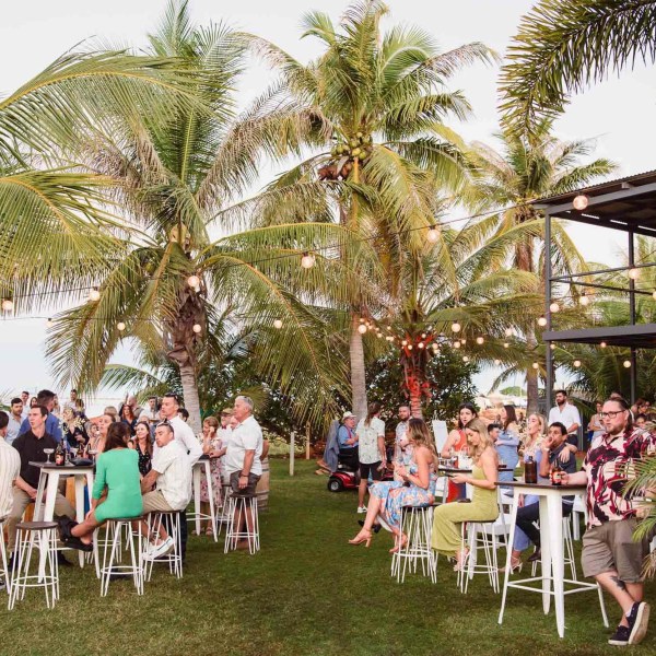 Outdoor gathering with people under palm trees, seated at high tables, with string lights above.