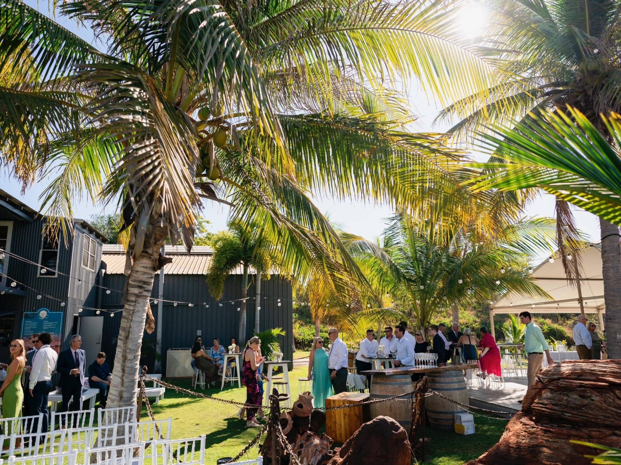 People gathered under palm trees at an outdoor event with a sunny backdrop.