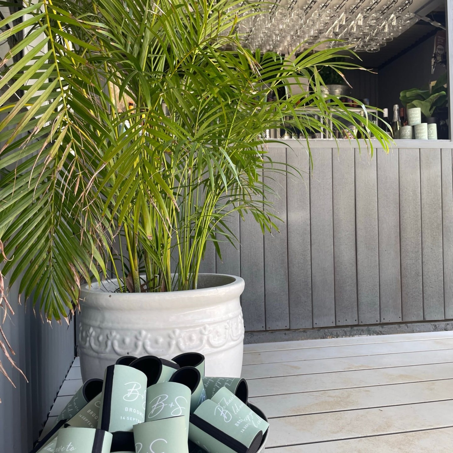 Potted palm plant by a bar with hanging glasses and bucket of drink holders below.