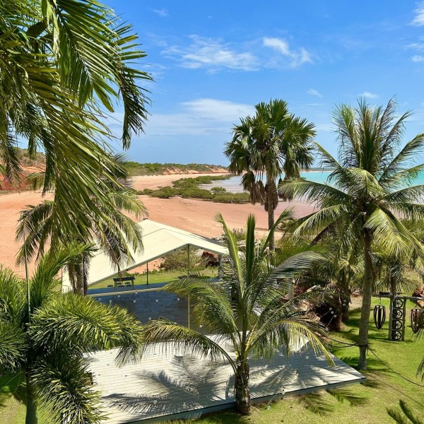 Tropical beach scene with palm trees, blue sky, and ocean view.