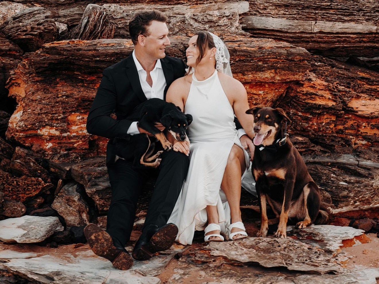 Couple in wedding attire sitting on rocks with two dogs.