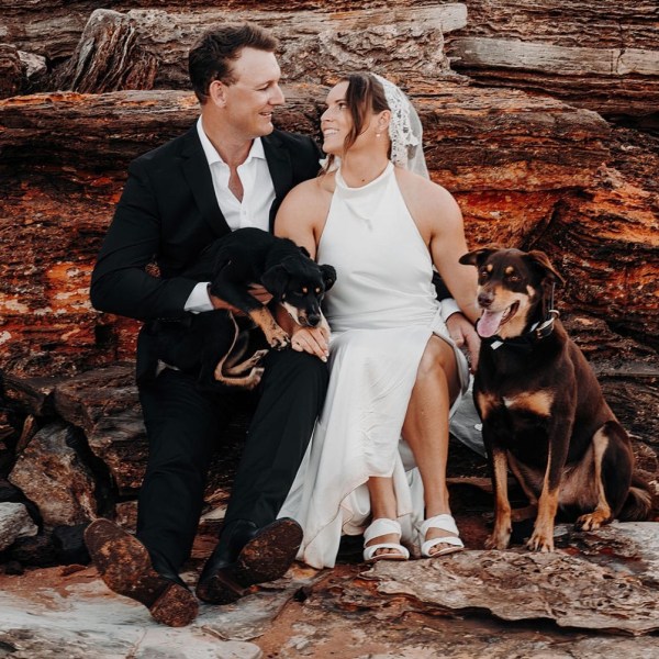 Couple in wedding attire sitting on rocks with two dogs.
