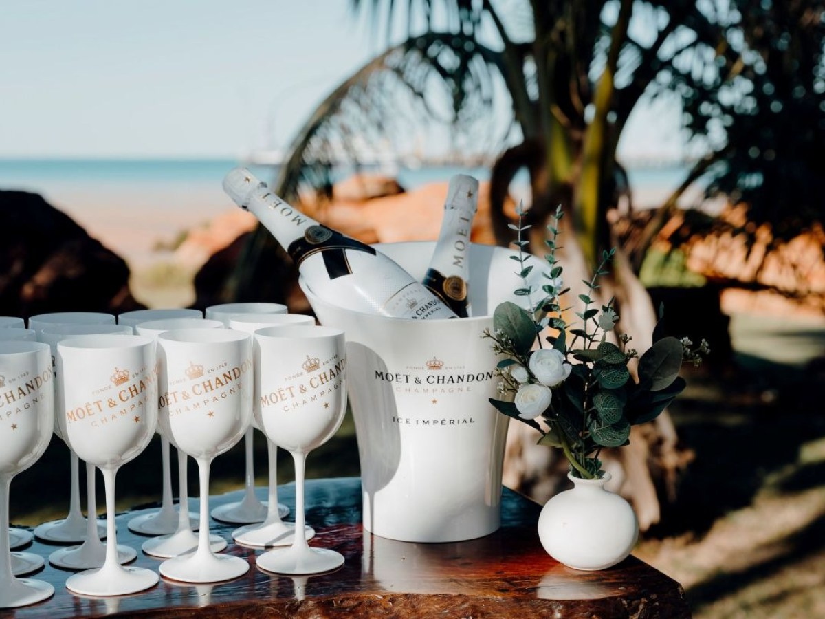 Champagne bucket and glasses on a table outdoors with a plant nearby.