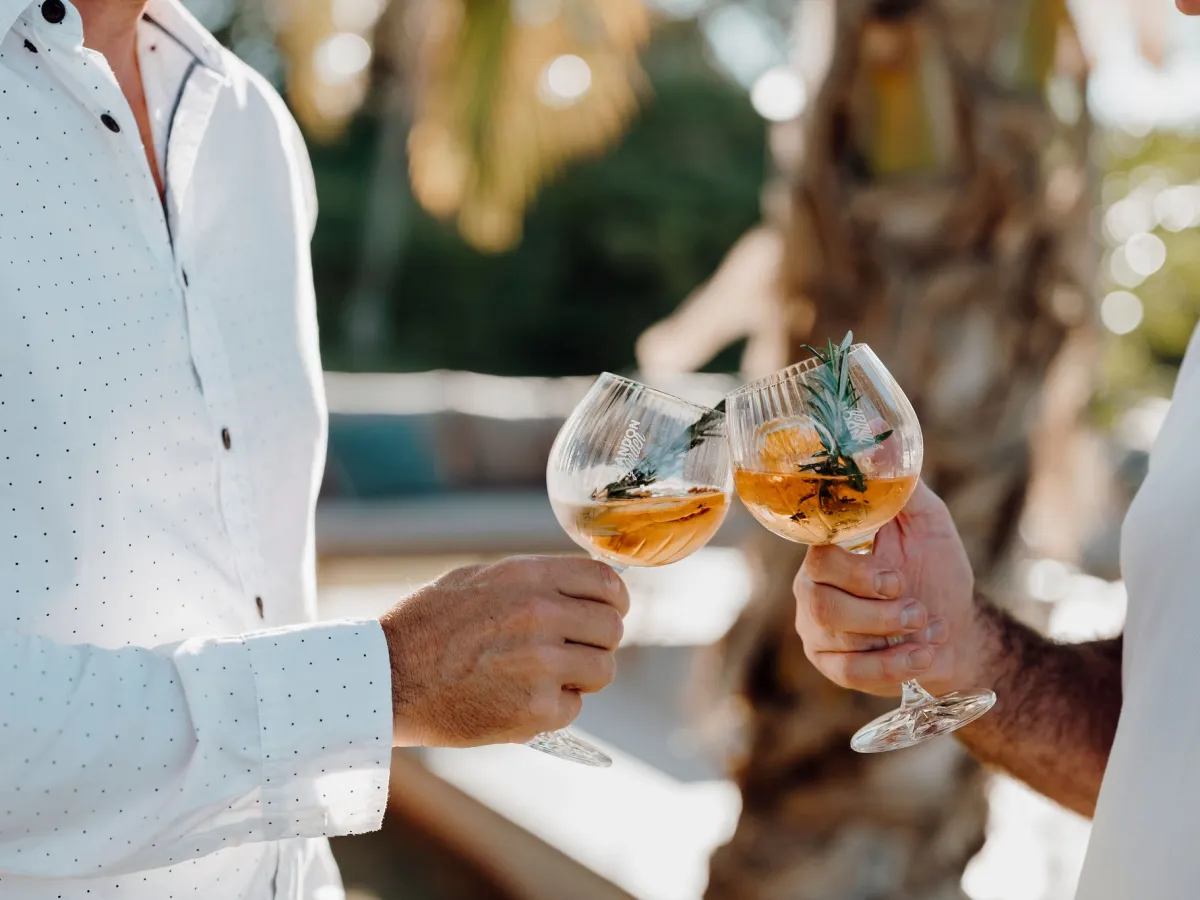 Two people clinking glasses with orange drinks and herbs.