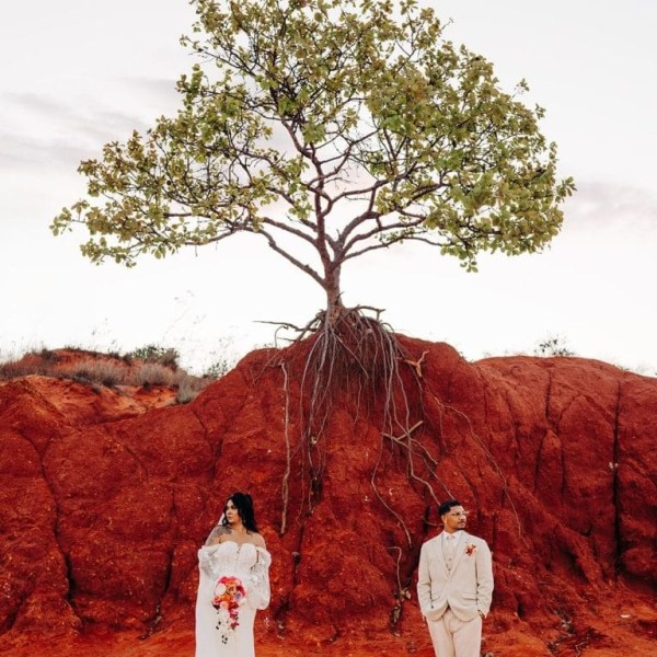 Bride in white dress and groom in tan suit stand near red clay cliff with tree.