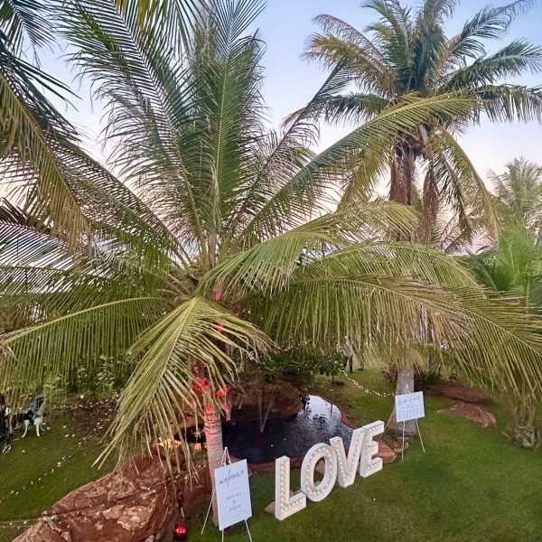 Palm trees and large 'LOVE' sign on grass beside a pond, under a blue sky.