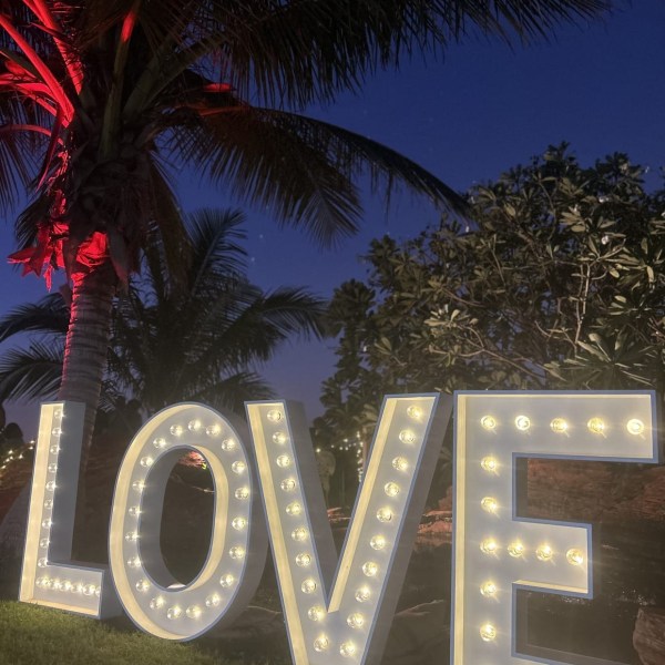 Illuminated LOVE sign under palm trees at night with colorful lighting.