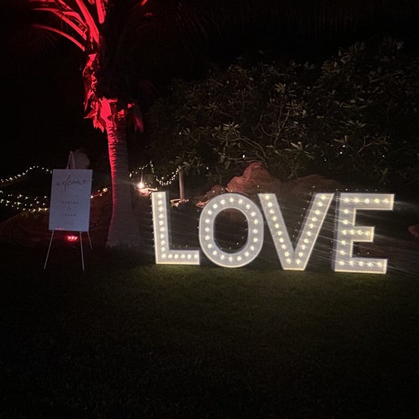 Illuminated 'LOVE' sign in a garden at night, with a red-lit palm tree.